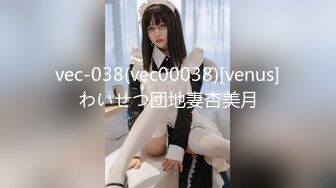 vec-038(vec00038)[venus]わいせつ団地妻杏美月