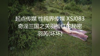 起点传媒 性视界传媒 XSJ083 奇淫三国之关羽脸红的秘密 羽芮(坏坏)