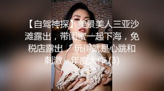 网衣乳夹小母狗很喜欢瞬间高潮