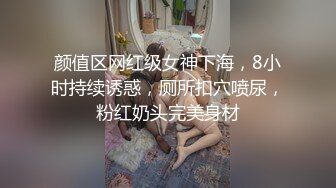 大神潜入商场女厕洞中偷窥 多位美女嘘嘘各种美鲍鱼轮流呈现