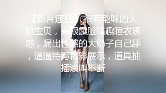 ✿性感女仆✿ 盲盒惊喜之主人的专属猫咪▌宸荨樱桃▌