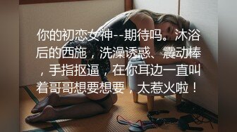 【agreeable-22】气质出众的女神道具自慰，害我射了 (2)