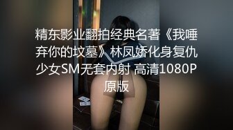 麻豆传媒出品无套系列-南国性爱旅程 火热浪漫的滨海行 无套性爱女优吴梦梦