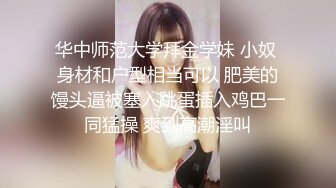 黑网丝大奶美女吃鸡啪啪