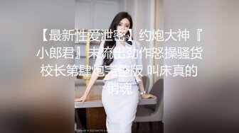 最新豪华精品佳作素人约啪第19季-年终特辑：E杯美乳极品御姐控福音（下集）