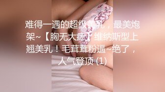 大屌黑人肏服各路媚黑淫妻thefirstclassjd资源合集【71V】 (42)