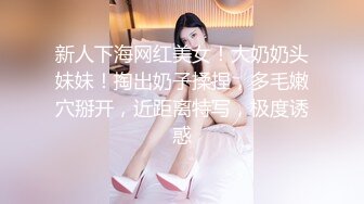 良家人妻的母狗驯化