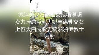  天津鸟叔 · 聚众淫乱，带着一帮兄弟搞熟女，30如虎40如狼，性欲最强时候多人运动最爽！