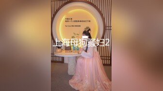 夫妻情侣女女简历出