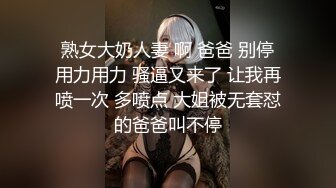 调教骚母狗2