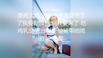 OnlyFan 姐姐的秘密 第二集偷情