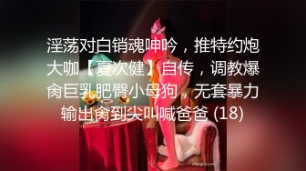 9/10最新 街头狩猎窈窈俏空姐享受视奸的强迫性快感VIP1196