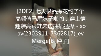 【台湾三级】96超级床上接班人（国语中字）