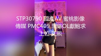 STP28593 麻豆传媒 Pussy Hunter PS017 激情3P黑丝巨乳家政妇 VIP0600