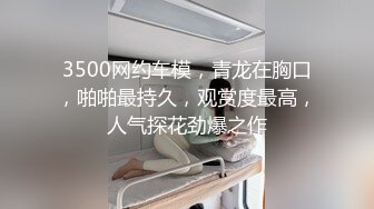 魔劍公主的性感騷姿 4