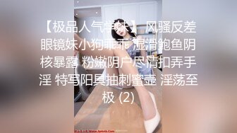 女神被日常打桩，极品