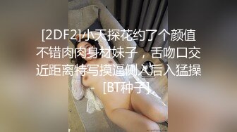 [2DF2]小天探花约了个颜值不错肉肉身材妹子，舌吻口交近距离特写摸逼侧入后入猛操 -  [BT种子]