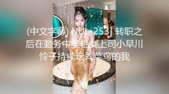 (中文字幕) [JUL-253] 转职之后在勤务中美艳女上司小早川怜子持续玩弄菜鸟的我