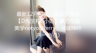 极品熟女美少妇内裤五颜六色的，网袜后入操逼，大肥屁股真爽，毒龙龟头蛋蛋和菊花