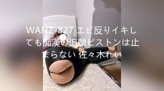 国产AV 天美传媒 TMW167 美乳舞娘指导性爱技巧 仙儿媛