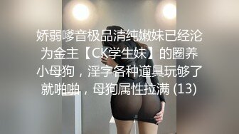 【新片速遞】2022-4-23【小狐狸娱乐】御姐范黑色网袜骚女，张开双腿揉搓骚穴，撩起裙子拉着手后入，镜头前猛操大屁股